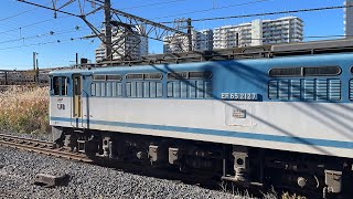 【広島更新色 EF65-2127】(通称カラシ) 4072レ(新A70)海上コンテナ輸送　2022.12.18 9:28　新川崎駅