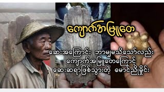 ကျောက်အမြူတေအစွမ်းကြောင့် ဆေးဆရာဖြစ်လာသူ