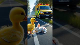 A Brave Duck Save A Injured Rabbit from a Cruel Eagle #rabbitrescue #animalrescue #Duckrescue #short