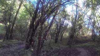 MTB Riverview Gardens