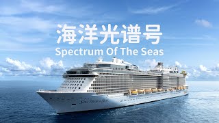 Spectrum Of The Seas🚢Explore room type, food and facilities 皇家加勒比海洋光谱号 史上最完整的介绍视频 房型 食物 设施与注意事项