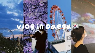 🇰🇷Vlog/大邱樱花盛典🌸