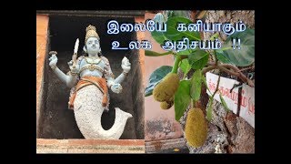 அதிசயங்களின் அணிவகுப்பு திருவீழிமிழலை !!