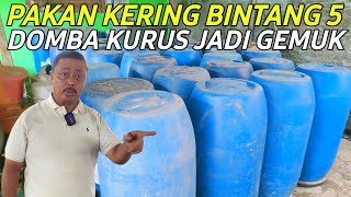 PAKAN TERNAK BERBAHAYA DOMBA KURUS DI SULAP JADI SUPER GEMUK | CERITA PETERNAK SUKSES