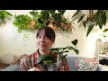 top 10 favourite houseplants of january 2025 🌿 how i keep them happy