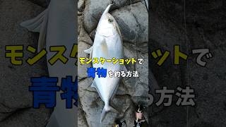 モンスターショットで青物を釣る方法　#ショアジギング #ロックショア #釣り #fishing #fish #海釣り #青物 #ocean #モンスターショット #duel #saltlife #魚