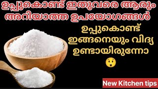 ഉപ്പുകൊണ്ട് ഇങ്ങനെ ചെയ്തു നോക്കൂ... കിടിലെൻ ടിപ്പ്സ് 💯👍🏻#dariyaskitchen #kitchentips