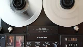 Grundig TS 1000