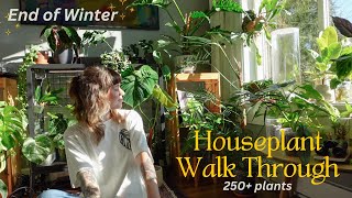 🌿 houseplant collection walk through before spring! updates on repots, blooms, e