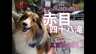 伊賀忍者の祖が選んだ修行の地【赤目四十八滝（三重県名張市）】犬旅