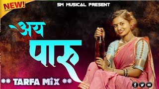 Ay Paru_अय_पारू | Gavthi Song Dj Mix | SM Musical DJ| #gavthisong