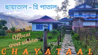 CHAYATAAL OFFBEAT SPOT ON WEST SIKKIM, chayatal heritage homestay #sikkim #offbeat #travelvlog #tour