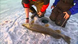 Late Ice Tip-up Patterns For Big Fish