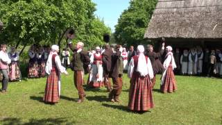 Savingė. Krikoniškių kadrilius 2010