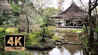 【4K Walk】Japanese Traditional Garden and temple, Nanzen-in Kyoto 貸切の京都南禅院散策