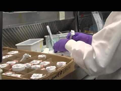 LabCorp - Lab LabCorp - Lab