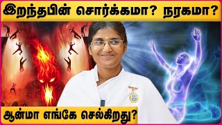 சொர்க்கம் நரகம் எப்படி இருக்கும்? | Hell Vs Heaven | Brahma Kumaris Tamil | Cosmo View