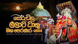 සේරුවිල ලලාට ධාතු මහ පෙරහැර - 2024 Highlights | Seruwila Mangala Rajamaha Vihara