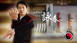 台灣截拳道概念 全新課程系列-詠春宣傳影片 JKD Concept \u0026 Kali Taiwan Wing Chun Promotional Video