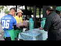 Thai Street Food - GOLIATH GROUPER FISH Cutting Skills Bangkok Seafood Thailand