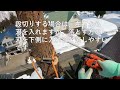 杉のトップカットと切詰めprt2 大源太農園20220310