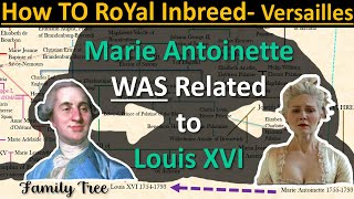 How MARIE ANTOINETTE was RELATED to King LOUIS XVI of France- Royal Inbreeding-Family Tree Explained