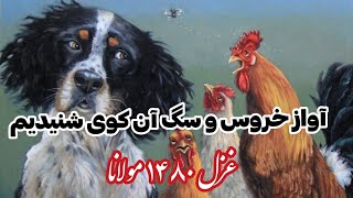 غزل شماره ۱۴۸۰مولانای جان با اجرای مشترک زیبا صادقی و مصطفی خانی