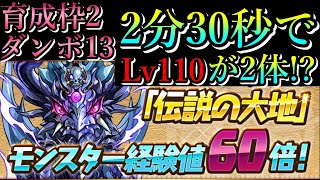 【伝説の大地】天元60倍　育成枠2　Lv110を2分30秒で2体！？一周30秒の爆速脳死編成　ダンボ13　最後に獄練との比較のアリ【パズドラ】