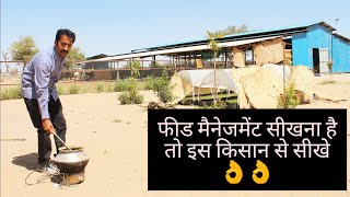 Dairy Farm पर फीड मैनेजमेंट सीखना है तो इस किसान से सीखे || Best Feed Managment || Hello Kisaan