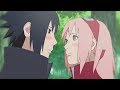 [SasuSaku] ✿ Cherry Blossoms ✿