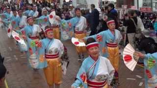 大富士with雄大グループ（よさこい東海道2013・仲見世）