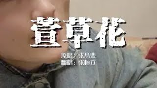 高高的青山上，萱草花开放～ 萱草花 你好李焕英 无声卡清唱 翻唱 轮回