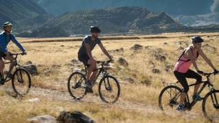 Transport Yourself to New Zealand: Alps 2 Ocean Cycle Trail