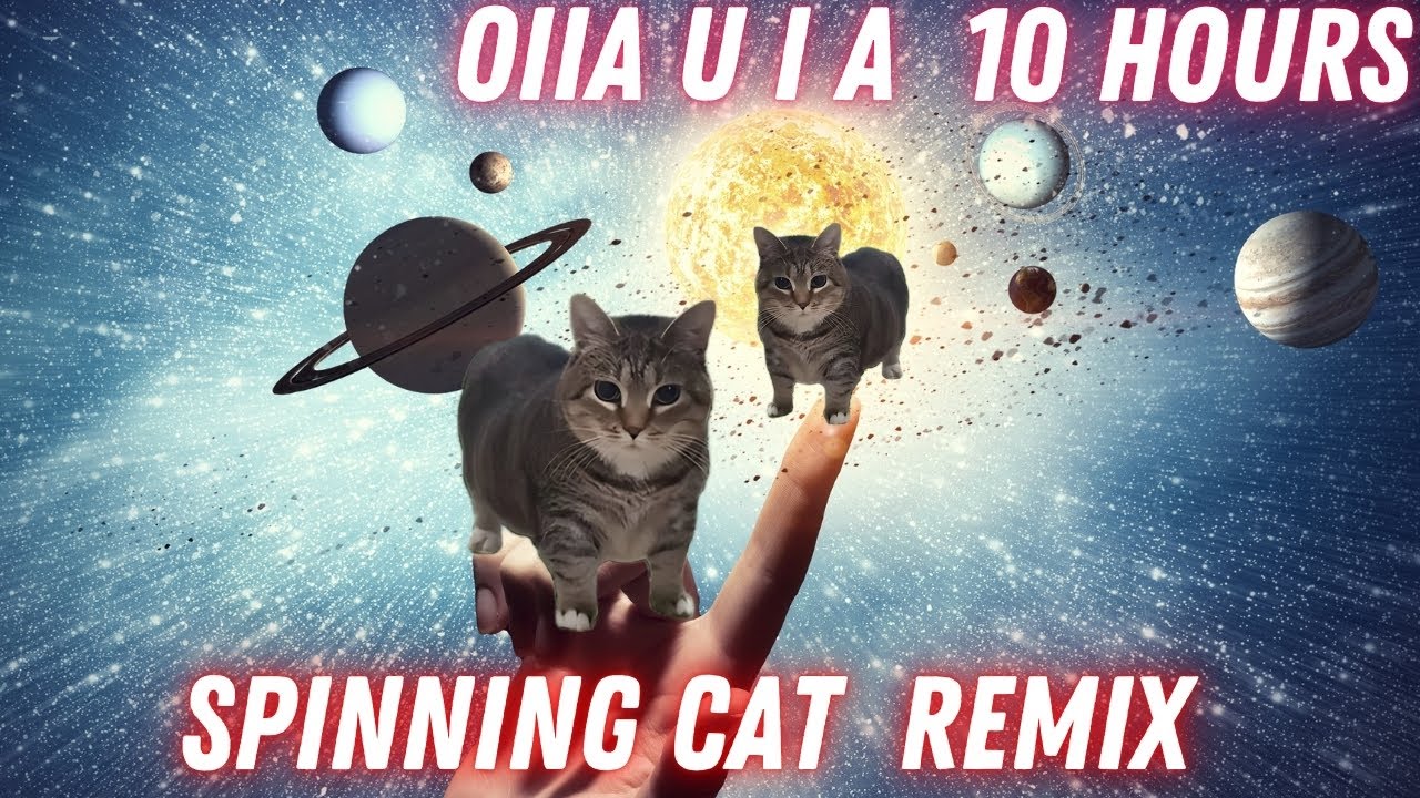 Oiia Oiia Viral Spinning Cat Dance 10 Hours Youtube Music
