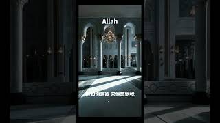 如何向Allah做祈祷#古兰经 #穆罕默德 #伊斯兰