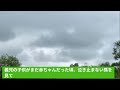 【スカッとひろゆき】悪い人では無いんだけど､何も考えずに物を言う舅｢骨折ぐらいなんだ！車乗ってりゃこれるだろ｣ 私｢自分が骨折して痛い時に同じこと言えんの？｣