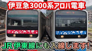 【JR伊東線にも入線します!】6月13日より運行区間が拡大された元209系の伊豆急3000系アロハ電車、JR線区間だけ乗ってきた！