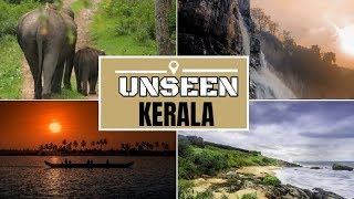 Kerala at a Glance - Beaches, Waterfalls, Festivals, Munnar, Kumarakom