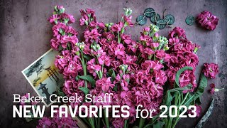 Baker Creek Staff New Favorites for 2023