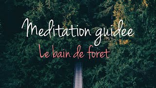 Méditation guidée | Le bain de forêt