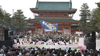 [4K] よさこいチームかざみどり【特別賞】京都さくらよさこい 2019 さくよさ 『灘一』初披露