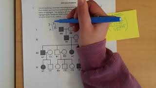 LOD score Practice Problem 5