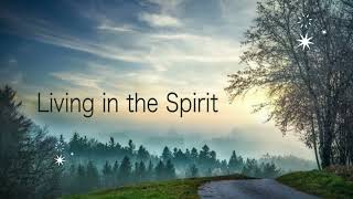 Life in Spirit - Biblical Perspective #Biblestudy