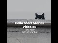 Hello Short Stories #5 - The EXTRAORDINARY story of Cats of Istanbul