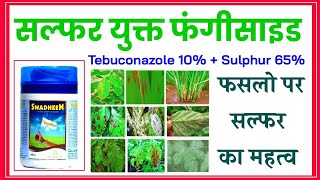 Tebuconazole 10% +  Sulphur 65% WG (Fungicide) Swadheen | Contact and Systemic | फफूंद नाशक