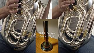 Multi-recording | Salut d'amour Op.12