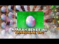 SEBERAPA OP TUMBUHAN KACANG HIPNO INI??? - Plant Vs Zombie Fusion