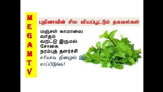 புதினா கீரை மருத்துவ குணங்கள் அவற்றின் பயன்கள்