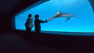 そうだ！浅虫水族館へ行こう🐬