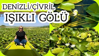 ÇİVRİL IŞIKLI GÖL | NİLÜFER MEVSİMİ | DENİZLİ ÇİVRİL IŞIKLI GÖL TEKNE TURU